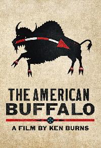 The American Buffalo